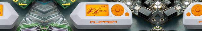 image of flipper banner.